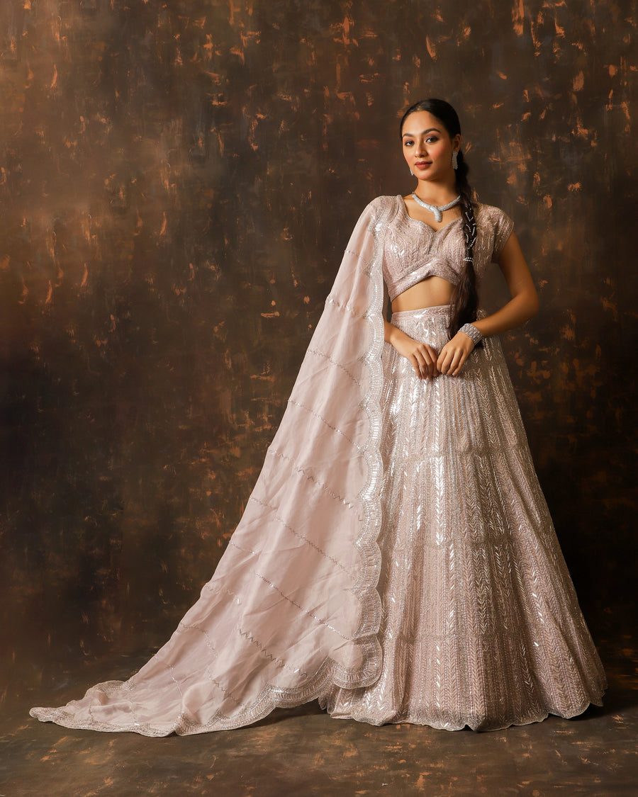 Blush Radiance Nude Pink Lehenga Set